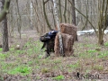 DSC_0401_resize